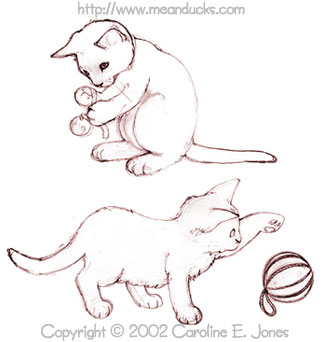 Kitten Sketches